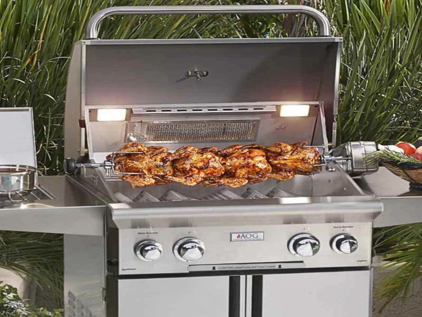 American Outdoor Grill Portable "T" Series Gas Grill