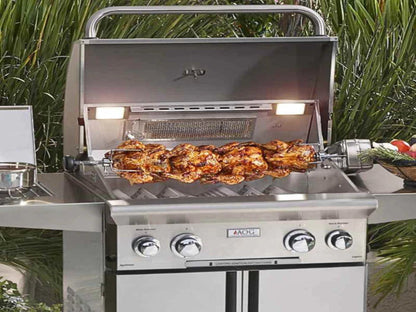 American Outdoor Grill Portable "T" Series Gas Grill